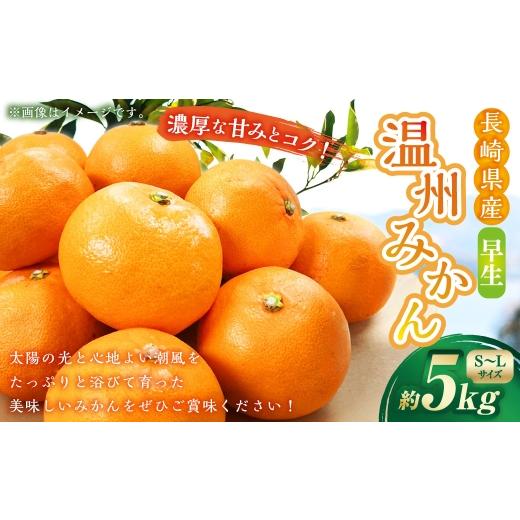ふるさと納税 果物類 みかん 長崎県 長崎市 温州みかん ( 早生 ) 約5kg ( S 〜 Lサイズ ) みかん ミカン 蜜柑 早生みかん 柑橘 果物 くだもの 果実 フルー…