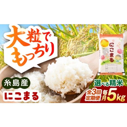 ふるさと納税 米 にこまる 福岡県 糸島市 全3回定期便 精米方法が選べる にこまる 5kg(5kg×1袋) 糸島市 / 玄米・精米専門店 新飼宗一郎商店