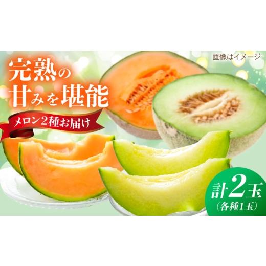 ふるさと納税 メロン メロン青肉 福岡県 糸島市 先行受付 メロン 2玉セット 糸島市 / 平山農園 2026年7月以降順次発送 フルーツ 果物