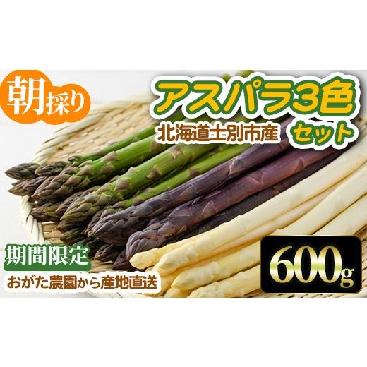 ふるさと納税 野菜類 アスパラガス 北海道 士別市 [数量・期間限定]朝採り アスパラ3色セット(600g) 2026年4月下旬以降発送予定 アスパラガス アスパラ ホワ…