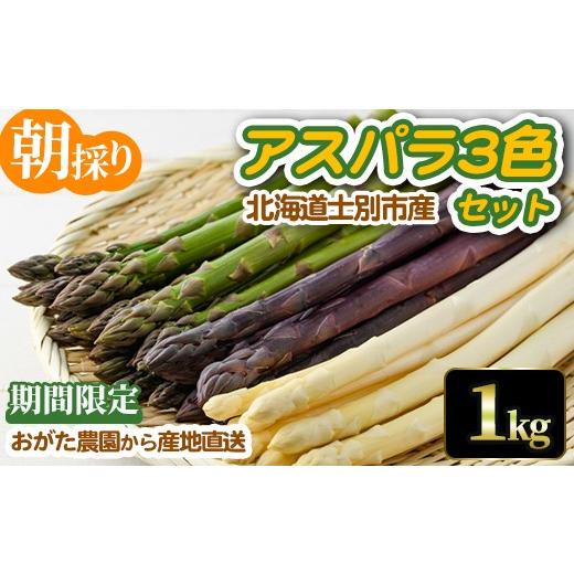 ふるさと納税 野菜類 アスパラガス 北海道 士別市 [数量・期間限定]朝採り アスパラ3色セット(1kg) 2026年4月下旬以降発送予定 アスパラガス アスパラ ホワ…