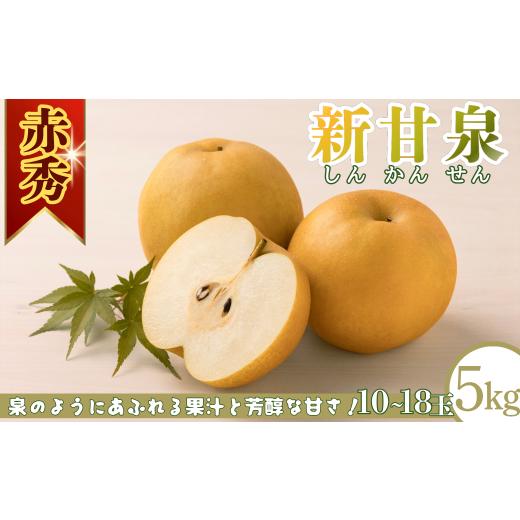 ふるさと納税 梨 鳥取県 八頭町 新甘泉(赤秀) 5kg「Ys Farm Tottori」 梨 なし ナシ 果物 フルーツ ギフト 先行予約 甘い 果実 果汁 デザート もぎたて 旬