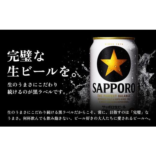 ふるさと納税 ビール 北海道 恵庭市  定期便全3回 サッポロ黒ラベル350ml×24本 | サッポロ黒ラベル 黒ラベル サッポロ サッポロビール ビール 生ビール お酒 …の画像