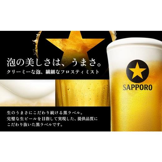 ふるさと納税 ビール 北海道 恵庭市  定期便全3回 サッポロ黒ラベル350ml×24本 | サッポロ黒ラベル 黒ラベル サッポロ サッポロビール ビール 生ビール お酒 …の画像