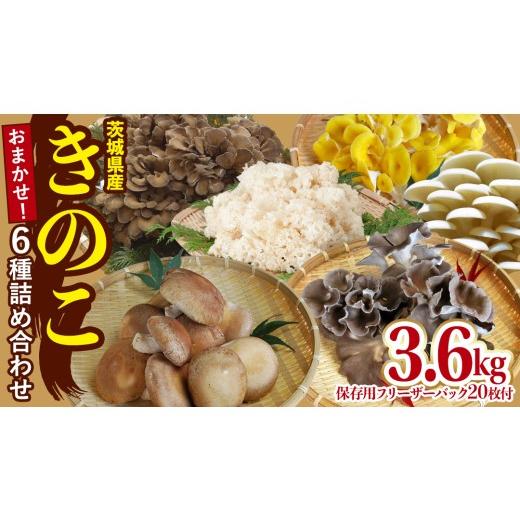 ふるさと納税 野菜類 きのこ 茨城県 城里町 きのこ 6種 詰め合わせ 約3.6kg 保存用フリーザーバック 20枚付き 大容量 キノコ 舞茸 あわび茸 たもぎ茸 しいたけ…