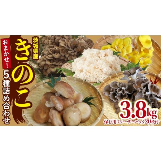 ふるさと納税 野菜類 きのこ 茨城県 城里町 きのこ 5種 詰め合わせ 約3.8kg 保存用フリーザーバック 20枚付き 大容量 キノコ 舞茸 あわび茸 たもぎ茸 しいたけ…