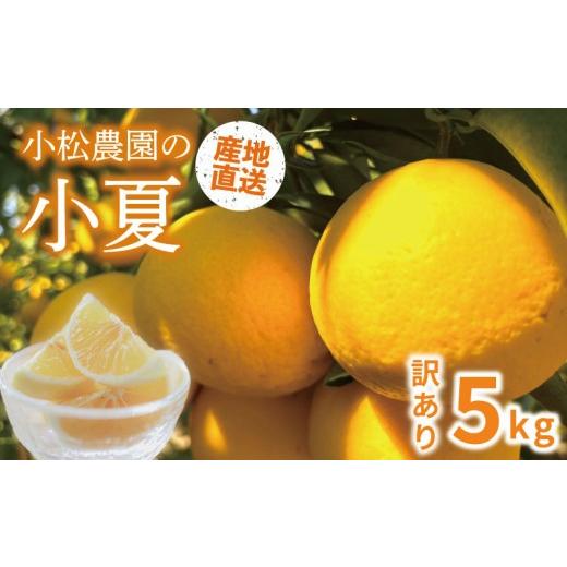 ふるさと納税 みかん・柑橘類 高知県 安芸市 訳あり 小夏 5kg 家庭用 みかん 蜜柑 訳あり みかん 柑橘 フルーツ 訳ありみかん 訳アリ みかん 蜜柑 mikan 春 夏…