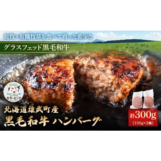 ふるさと納税 牛肉 ハンバーグ 北海道 雄武町 カラービーフ 黒毛和牛ハンバーグ(150gx2個) | 牛肉 黒毛和牛 和牛 有機牛 有機JAS オーガニック グラスフェ…