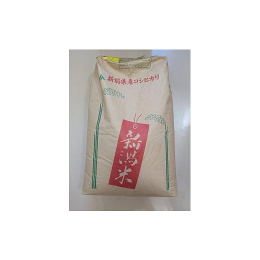 ふるさと納税 米 コシヒカリ 新潟県 燕市 令和7年産 特別栽培米 氷温熟成コシヒカリ30kg 玄米