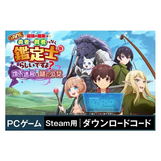 ふるさと納税 体験チケット 愛知県 江南市 ゲーム GAME 最強の職業は勇者でもなく賢者でもなく鑑定士(仮)らしいですよ?〜地下迷宮と謎の少女〜 Steamコード…