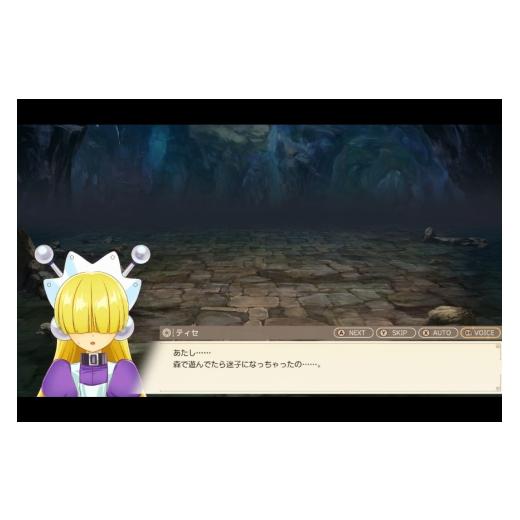 ふるさと納税 体験チケット 愛知県 江南市 ゲーム GAME 最強の職業は勇者でもなく賢者でもなく鑑定士（仮）らしいですよ？〜地下迷宮と謎の少女〜 Steamコード…_8