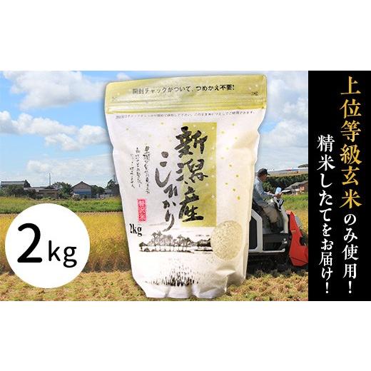 ふるさと納税 米 コシヒカリ 新潟県 胎内市 31-K21新潟県産コシヒカリ2kg