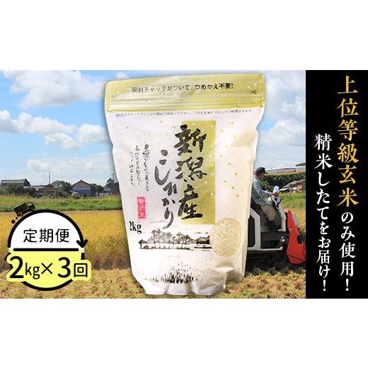 ふるさと納税 米 コシヒカリ 新潟県 胎内市 31-K23 3ヶ月連続お届け 新潟県産コシヒカリ2kg