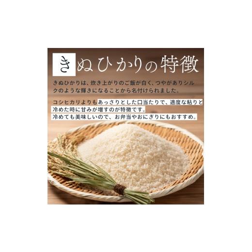 ふるさと納税 米 広島県 三原市  先行受付 《令和8年新米》 6か月定期便 みはら高原米 浮城 〜 きぬひかり 〜 玄米5kg 2026年10月中旬頃発送予定 お米 米 ごは…の画像