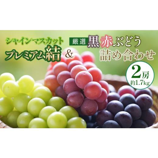 ふるさと納税 ぶどう マスカット 山形県 鶴岡市 令和8年先行予約 シャインマスカット プレミアム「結」と厳選 黒・赤ぶどうの2房詰め合わせ (2房 約1.7kg)…