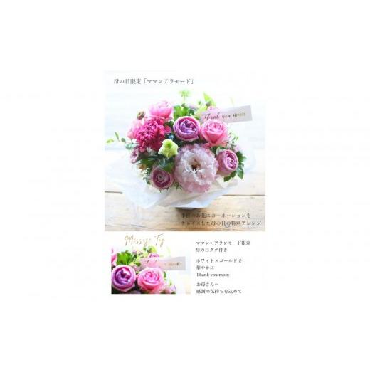 ふるさと納税 雑貨・日用品 花 大阪府 門真市 母の日 アラモード「ママン・アラモード」 お届け日:2026年5/4〜5/10 当店おまかせ 母の日カード付き 母の日…