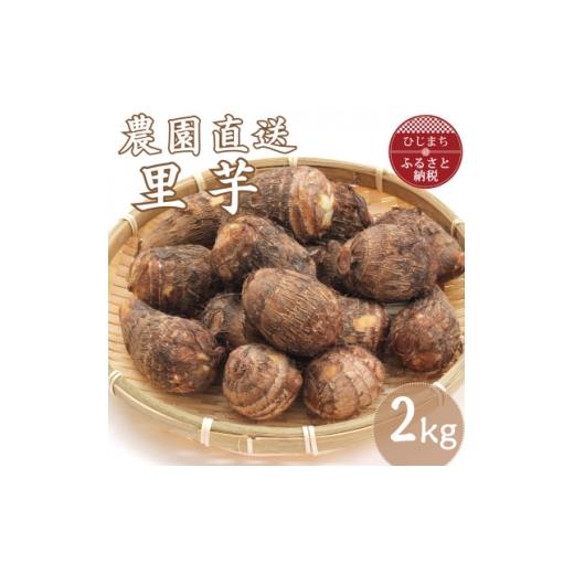 ふるさと納税 野菜類 大分県 日出町 里芋 2kg 1731696