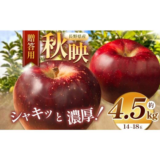 ふるさと納税 りんご 長野県 伊那市 りんご あきばえ 信州 上伊那産 贈答用 秋映 約4.5kg (14〜18玉) | 果物 フルーツ りんご 林檎 贈答 秋映 上伊那産 長野…
