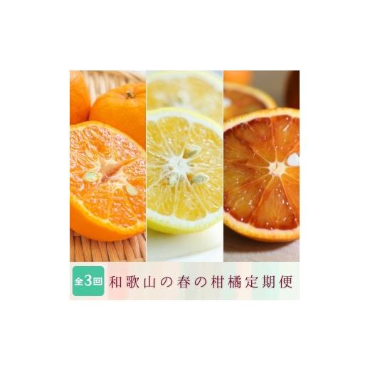 ふるさと納税 果物の詰合せ 和歌山県 すさみ町 定期便全3回 2月・3月・4月発送 和歌山の春の柑橘 (ポンカン・はるか・ブラッドオレンジ)秀品