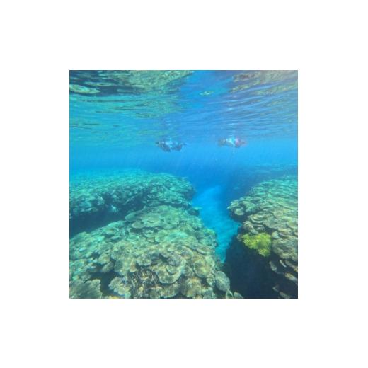 ふるさと納税 体験チケット 沖縄県 伊是名村 伊是名ブルーを満喫 手ぶらでOK ビーチシュノーケルツアー(1名様・約2時間) 1731203