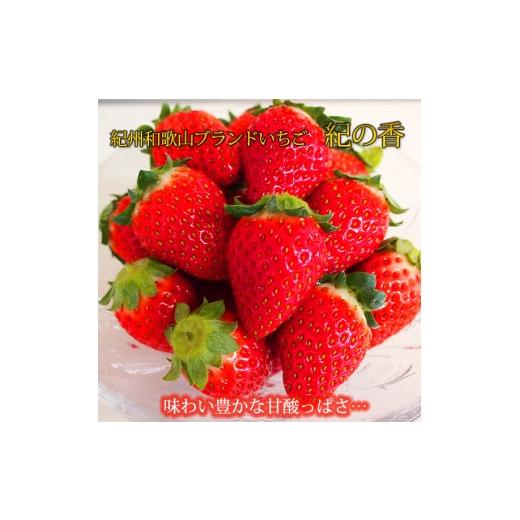 ふるさと納税 いちご 和歌山県 古座川町 来シーズン先行予約 紀州和歌山ブランドいちご「紀の香」約250g×4P 2027年1月中旬〜2027年3月中旬頃順次発送(お届…