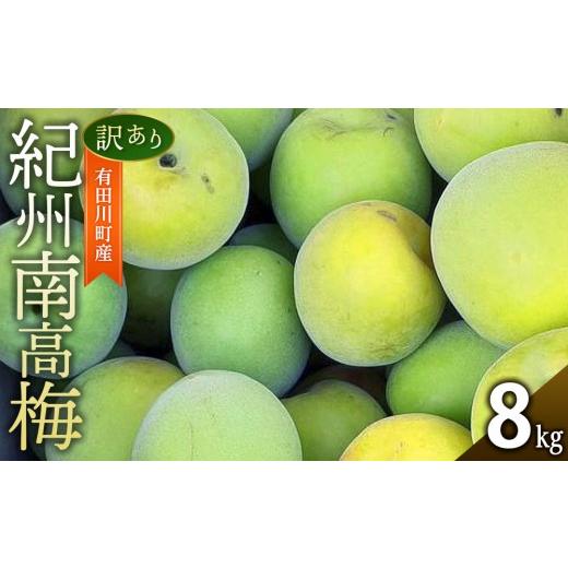 ふるさと納税 野菜類 和歌山県 有田川町 青梅 8kg 訳あり 紀州南高梅 シロップ・梅酒・梅干し用等 和歌山県有田産 2026年5月下旬〜7月上旬発送予定 8kg [27,0…