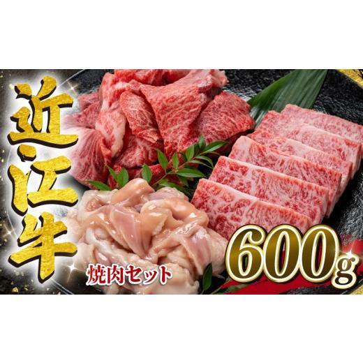 ふるさと納税 牛肉 セット 滋賀県 竜王町 家計応援 近江牛 焼肉 セット 計600g 200g×3種 カルビ 切り落とし ホルモン 焼き肉 コプチャン バラ サシ ホソ 切…