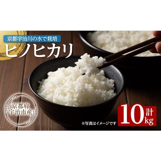 ふるさと納税 米 ヒノヒカリ 京都府 宇治市 数量限定・宇治市産 令和7年産 ヒノヒカリ(10kg) uj-
