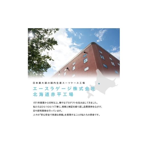 ふるさと納税 カバン 北海道 赤平市 PROTeCA マックスパスソフト4 TR 12112 (01 ブラック) スーツケース 42L キャリー バッグ 機内持ち込み 軽い 出張 短期旅…