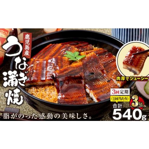ふるさと納税 うなぎ 鹿児島県 鹿屋市 全3回定期便 鹿児島産うなぎ蒲焼 180g×3尾 清らかな地下水育ち 　KN021-T37_1