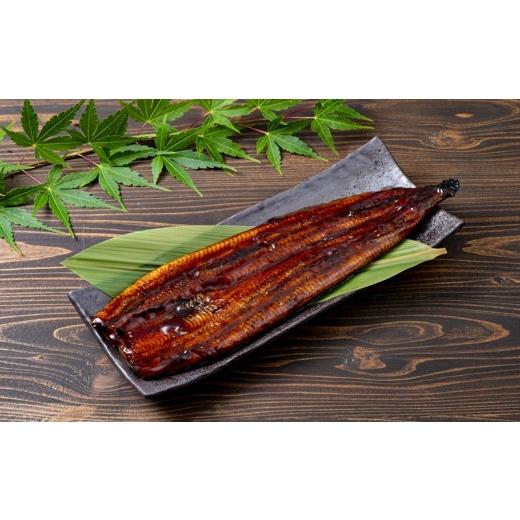 ふるさと納税 うなぎ 鹿児島県 鹿屋市 全3回定期便 鹿児島産うなぎ蒲焼 180g×3尾 清らかな地下水育ち 　KN021-T37_2
