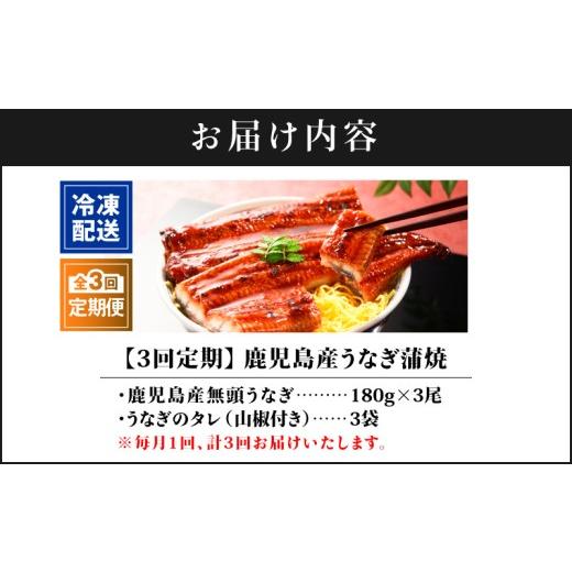 ふるさと納税 うなぎ 鹿児島県 鹿屋市 全3回定期便 鹿児島産うなぎ蒲焼 180g×3尾 清らかな地下水育ち 　KN021-T37_6