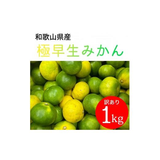 ふるさと納税 果物類 みかん 和歌山県 有田川町 家庭用 和歌山県産 極早生みかん 1kg