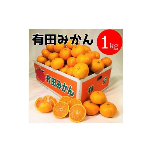ふるさと納税 果物類 みかん 和歌山県 有田川町 有田みかん 1kg (約9個〜10個)