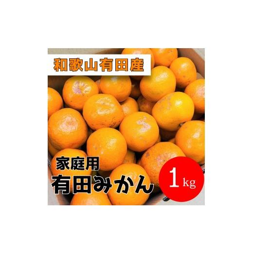 ふるさと納税 果物類 みかん 和歌山県 有田川町 家庭用 有田みかん 1kg (約9個〜10個)_1