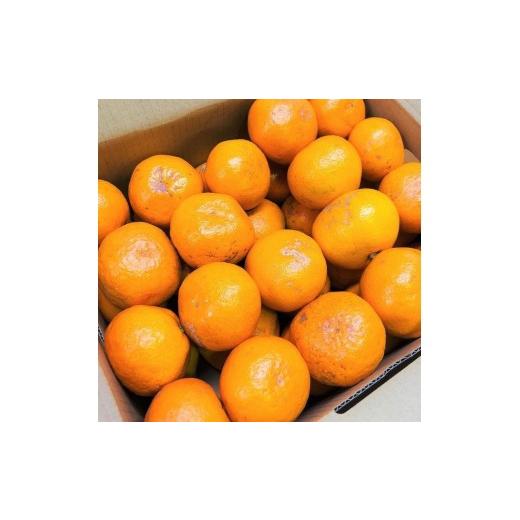 ふるさと納税 果物類 みかん 和歌山県 有田川町 家庭用 有田みかん 1kg (約9個〜10個)_2