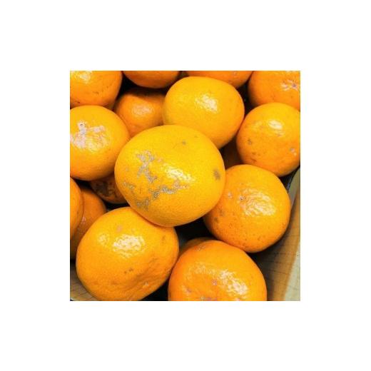 ふるさと納税 果物類 みかん 和歌山県 有田川町 家庭用 有田みかん 1kg (約9個〜10個)_4