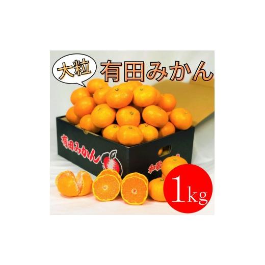 ふるさと納税 果物類 みかん 和歌山県 有田川町 大粒有田みかん 1kg (約7個〜8個)