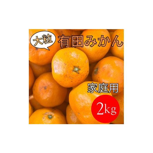 ふるさと納税 果物類 みかん 和歌山県 有田川町 家庭用 大粒有田みかん 2kg (約14個〜16個)_1