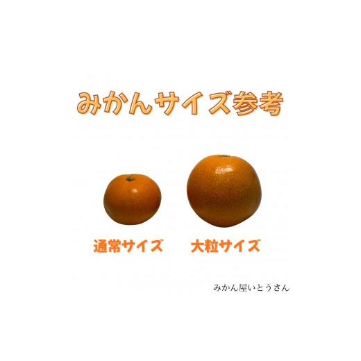 ふるさと納税 果物類 みかん 和歌山県 有田川町 家庭用 大粒有田みかん 2kg (約14個〜16個)_2