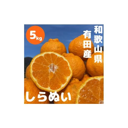 ふるさと納税 みかん・柑橘類 和歌山県 有田川町 和歌山 有田 不知火 しらぬい 5kg