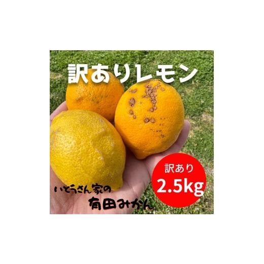 ふるさと納税 みかん・柑橘類 レモン 和歌山県 有田川町 訳あり 国産 レモン 2.5kg (14~22玉)