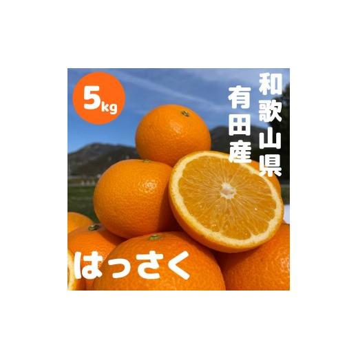 ふるさと納税 みかん・柑橘類 和歌山県 有田川町 和歌山 有田 はっさく 5kg