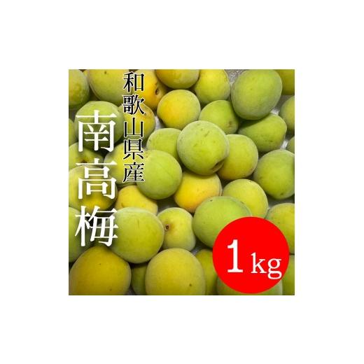 ふるさと納税 果物類 和歌山県 有田川町 青梅 南高梅 1kg