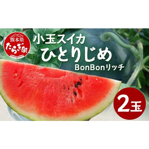 ふるさと納税 スイカ 熊本県 多良木町 8月上旬〜発送 小玉スイカ ひとりじめ BonBonリッチ 2玉 (1玉1kg〜2kg) 082-0701-2026 2026年8月〜発送予定分