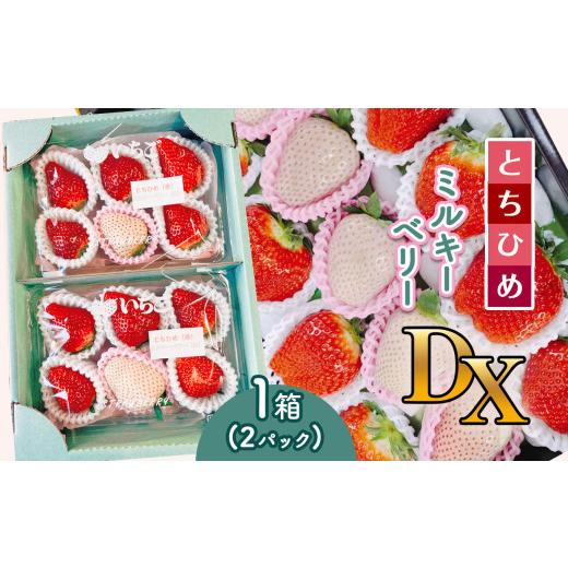 ふるさと納税 いちご 栃木県 真岡市 2026年12月以降発送 先行予約受付中 とちひめ・ミルキーベリー DX 1箱(2パック) | いちご 苺 とちひめ ミルキーベリー 貴…