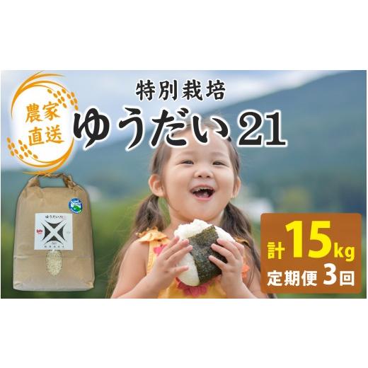 ふるさと納税 米 福井県 南越前町 3か月連続お届け 令和7年産 減農薬・化学肥料不使用 ゆうだい21 5kg×1袋×3ヶ月(計15kg)|お米 白米 ごはん ご飯 米 こ…