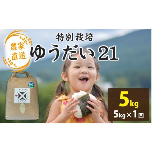 ふるさと納税 米 福井県 南越前町 先行予約 令和8年産 新米 農家直送 減農薬・化学肥料不使用 ゆうだい21 5kg×1袋(計5kg) 2026年10月より順次発送 | お米 …
