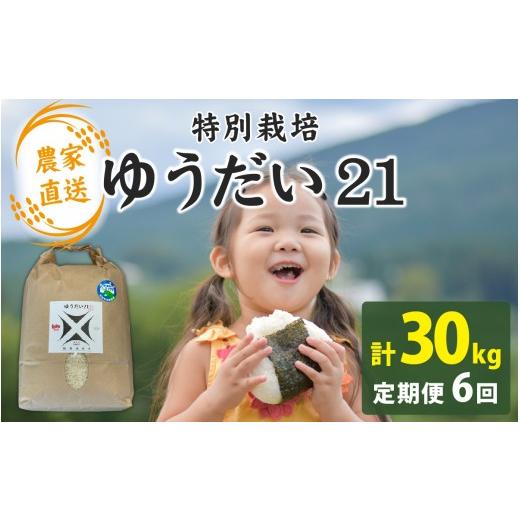 ふるさと納税 米 福井県 南越前町 先行予約 6か月連続お届け 令和8年産 新米 農家直送 減農薬・化学肥料不使用 ゆうだい21 5kg×1袋×6ヶ月(計30kg) 2026年…