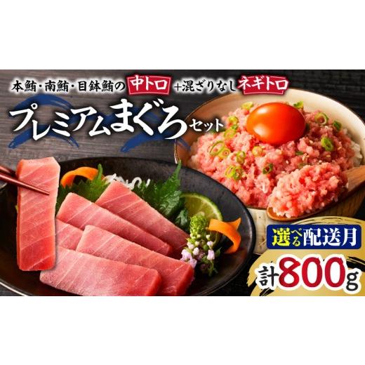 ふるさと納税 マグロ 神奈川県 三浦市 まぐろ専門店 湊魚問屋プレミアムまぐろセット 10月お届け M005-056-10 10月お届け